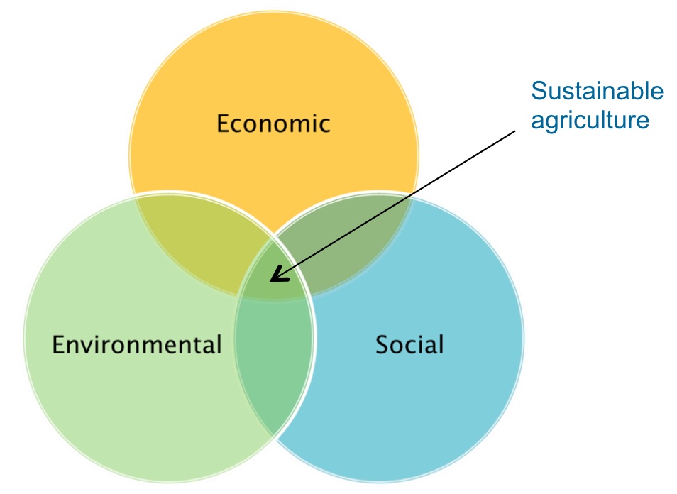 Venn Diagram